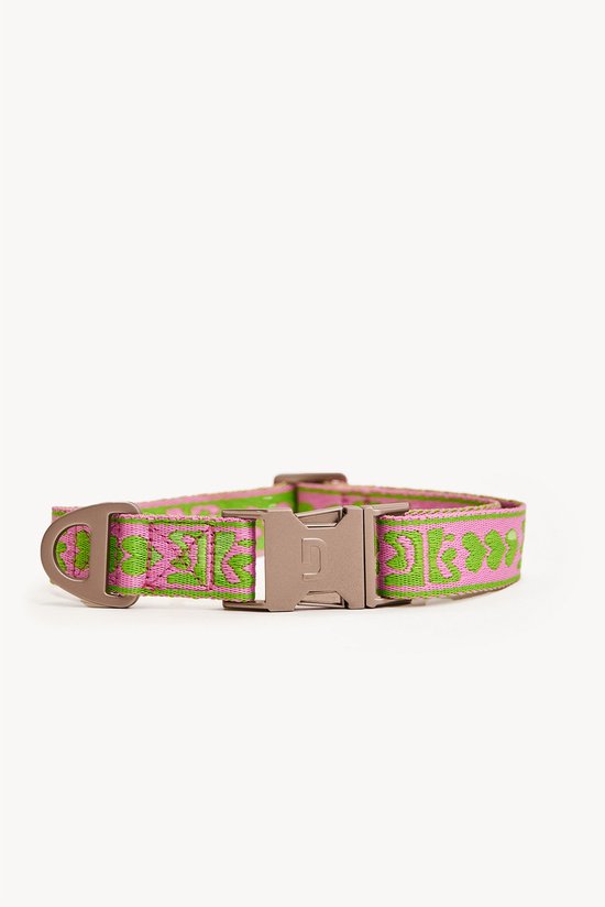 Collar Dogguo vert et rose - Collier pour chien - Petits Chiens