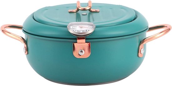 Mini Japanse roestvrijstalen kookpan, Tempura huishoudelijke koekenpan met gecontroleerde temperatuur, compatibel met gasfornuis, inductiekookplaat en