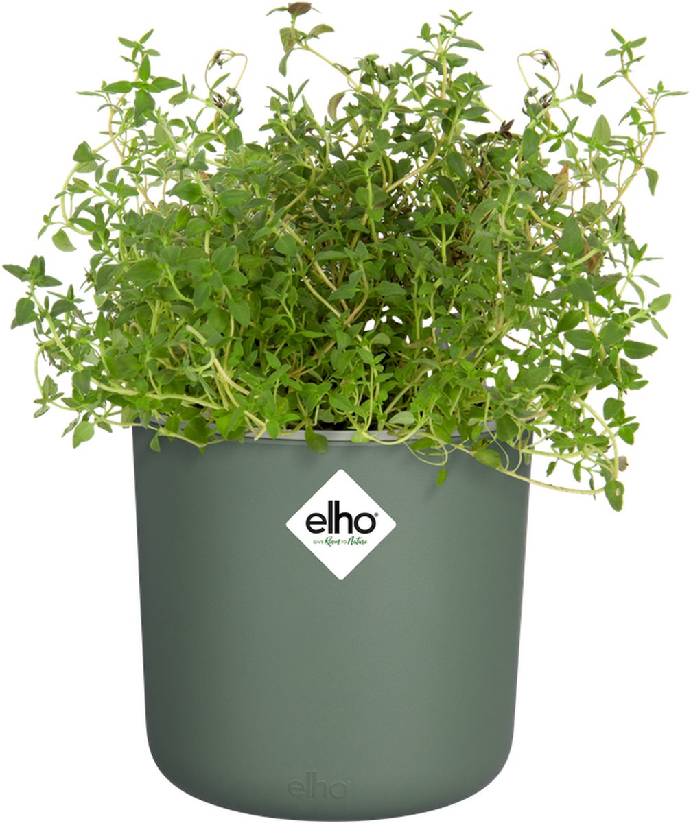 Elho Happy Herbs 15 - Kruidenpot met Waterreservoir - Bloempot van 100% Gerecycled Plastic - Ø 24.5 x H 23.1 cm - Blad groen