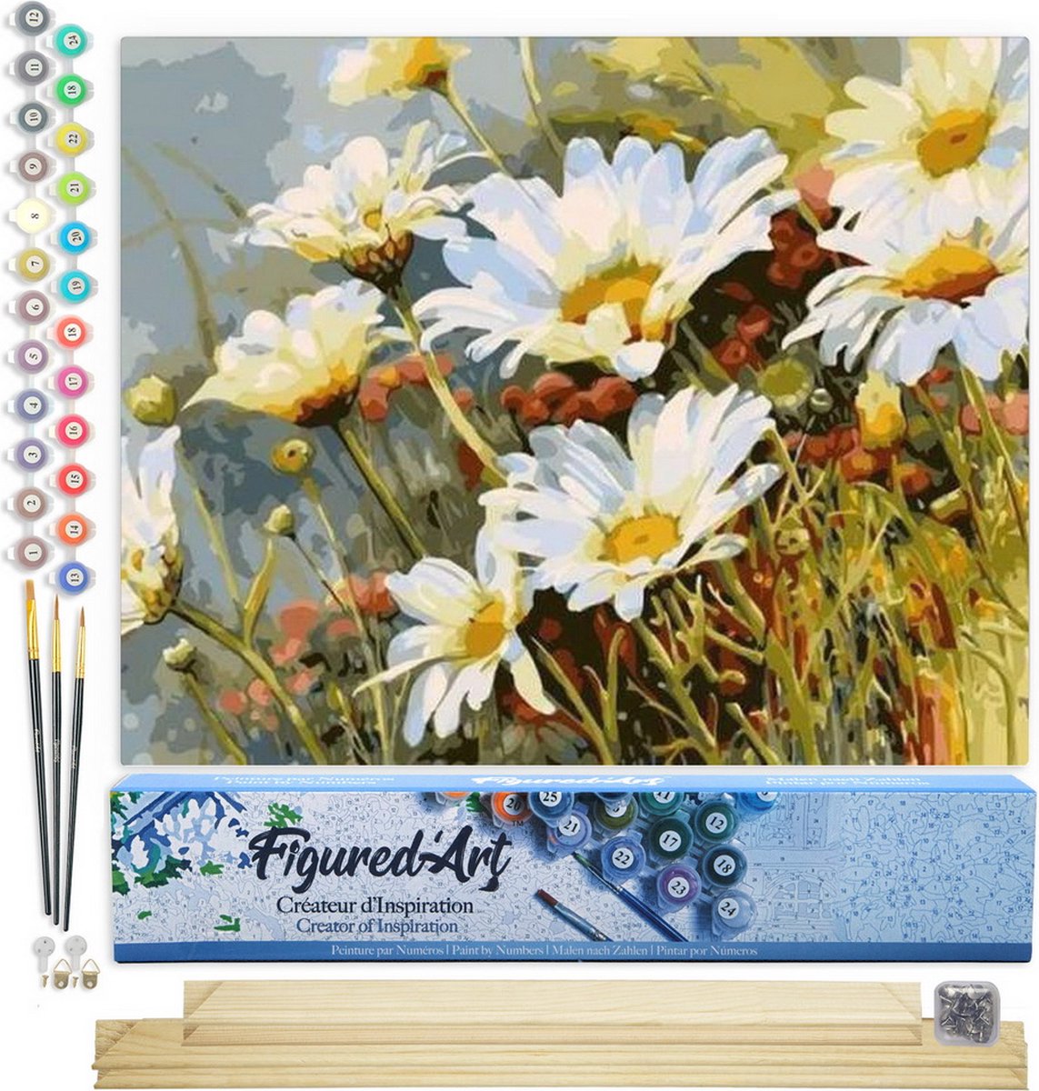 Figured'Art Schilderen op Nummer Volwassenen canvas Veld met madeliefjes in de lente - Handwerk acrylverf Kit DIY Compleet - 40x50cm met DIY houten lijst