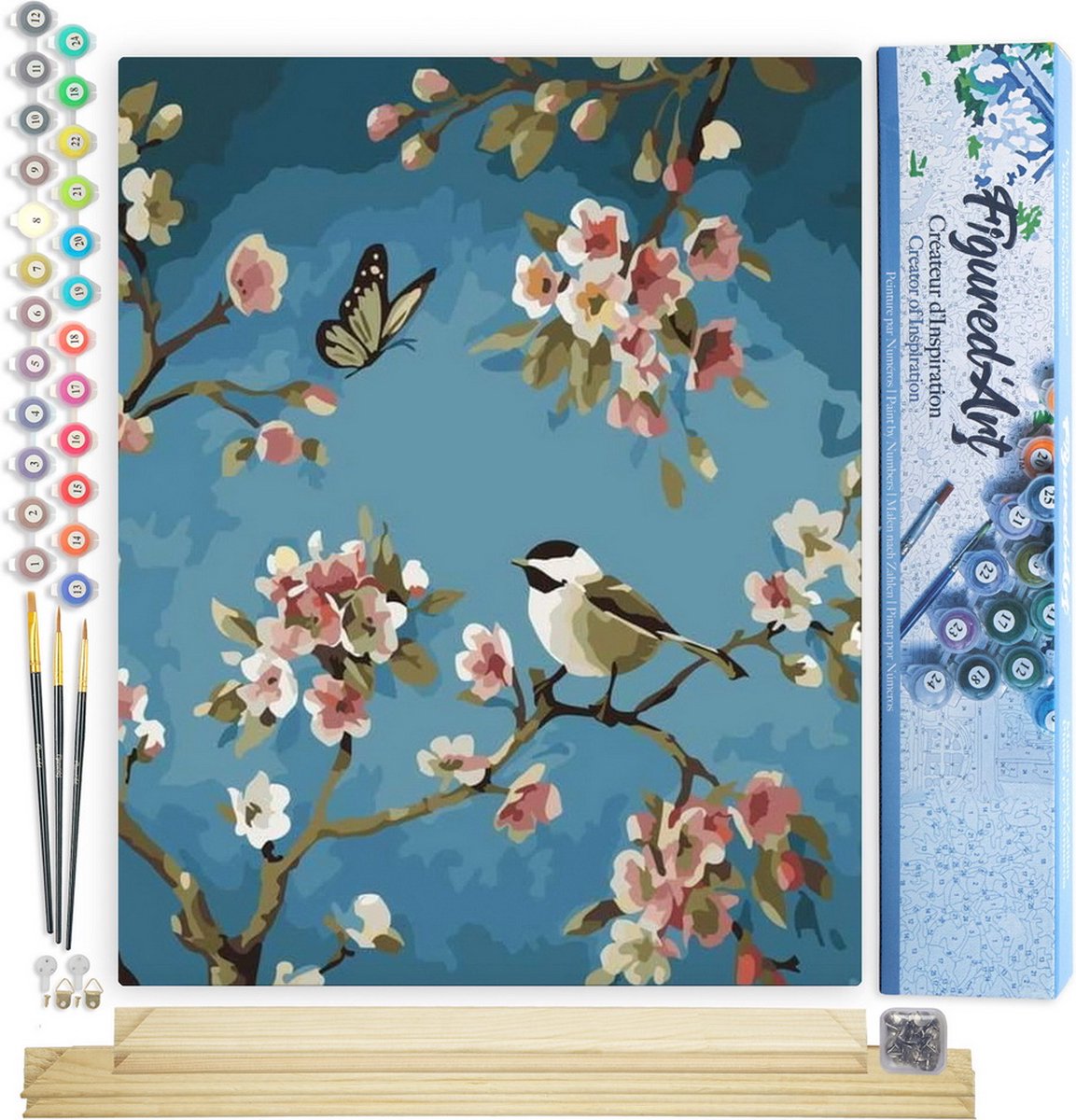 Figured'Art Schilderen op Nummer Volwassenen canvas Vogels schilderen 1 - Handwerk acrylverf Kit DIY Compleet - 40x50cm met DIY houten lijst