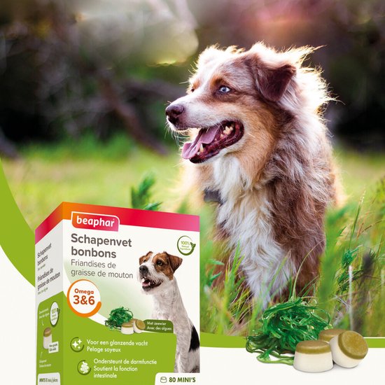 Beaphar Schapenvet Bonbons Zeewier Mini 245g