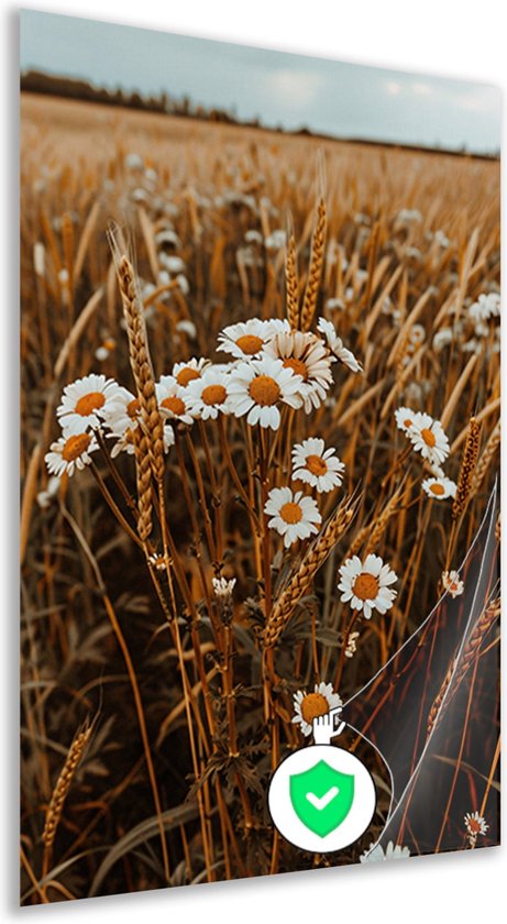 Beige Riet Poster natuurfotografie | Poster Store NL