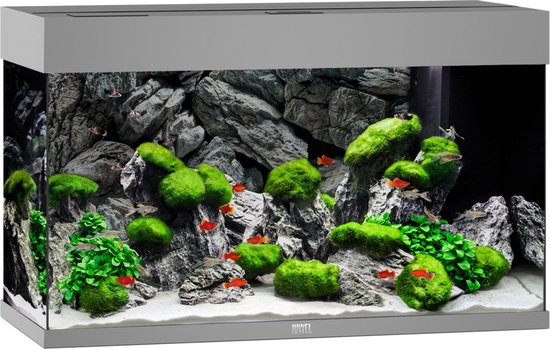 Juwel Aquarium Rio 125 Led 80x35x50 cm - Aquaria - Grijs Ca. 125 L