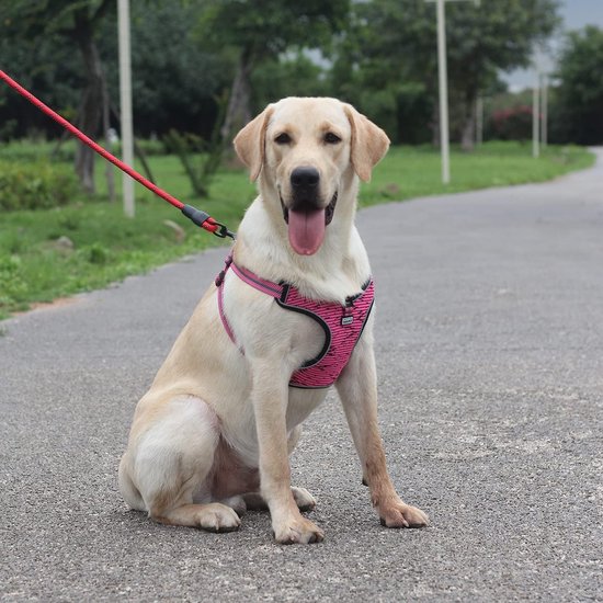 SafePaws | Anti-Trek Hondenharnas & Optionele Reflecterende Riem