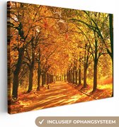 Canvas schilderij 120x90 cm - Wanddecoratie Bos - Herfst - Seizoenen - Landelijk - Muurdecoratie woonkamer - Slaapkamer decoratie - Kamer accessoires - Schilderijen