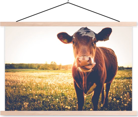 Porte-affiche avec affiche - Affiche scolaire - Vache - Coucher de soleil - Fleurs - Herbe - Animaux - 90x60 cm - Lattes vierges
