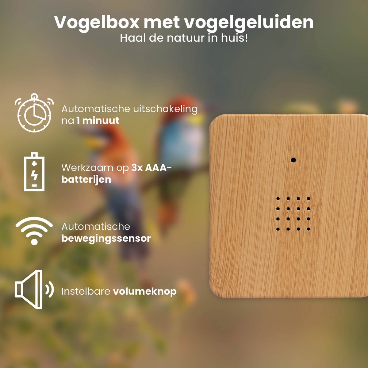 D&KO Vogelhuisje met Natuurgeluiden van QLT — cadeau in Wonen & Interieur - foto 2