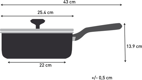 Schematische tekening van een hapjespan met de afmetingen: 43 cm totale lengte, 25.4 cm panbreedte, 22 cm bodemdoorsnede en 13.9 cm hoogte.