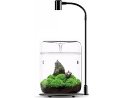 Plant Terrarium - Decoratieve Glass Aquarium Jar