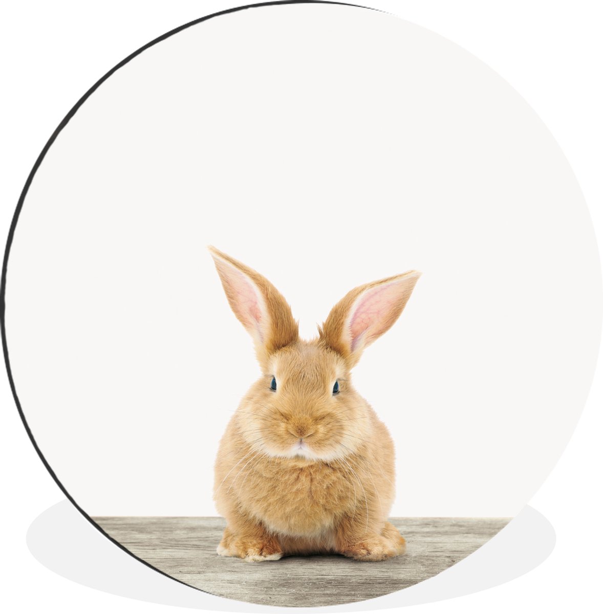 WallCircle - Wandcirkel - Muurcirkel - Konijn - Baby konijn - Dieren - Kind - Meisjes - Jongens - Aluminium - Dibond - 90x90 cm - Binnen en Buiten