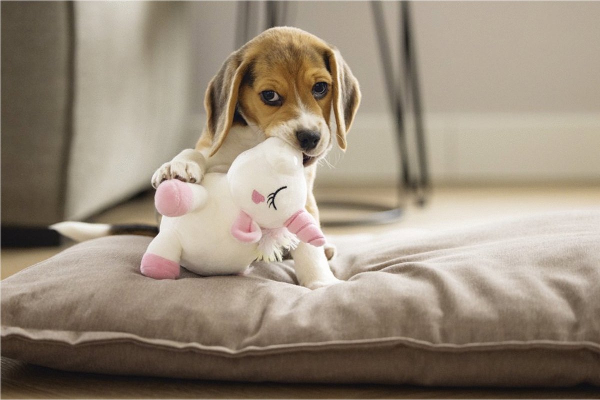 Beeztees Puppy Hondenknuffel Eenhoorn Owen - Puppy Speelgoed - Puppyknuffel - Hondenspeelgoed - Wit 18 x 15 x 11,5 cm - Hond thumbnail 3