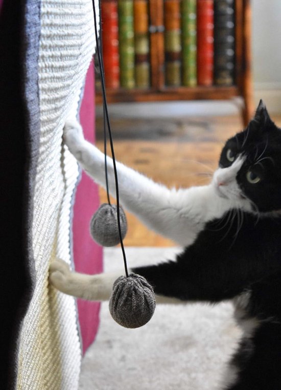 Balles à gratter pour chats et épilateur de poils de canapé – Set de 2 avec balles et sacs – Taille-crayon en sisal naturel pour griffoir de votre chaton