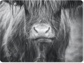 Muismat - Mousepad - Schotse Hooglander - Haar - Dieren - 23x19 cm - Muismatten