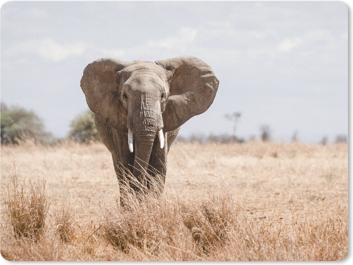 Muismat 23x19 cm - Mousepad Olifant - Natuur - Dieren - Portret - Muismatten