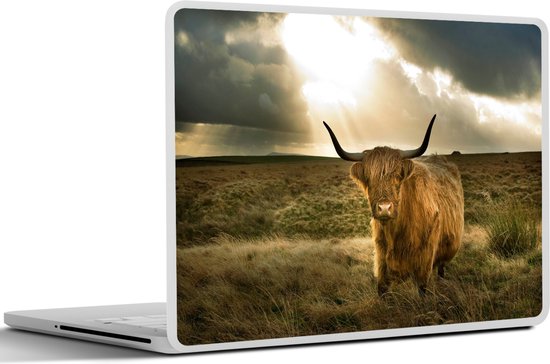 Laptop sticker - 15.6 inch - Schotse Hooglander - Zon - Dieren - 36x27,5cm - Laptopstickers - Laptop skin - Cover