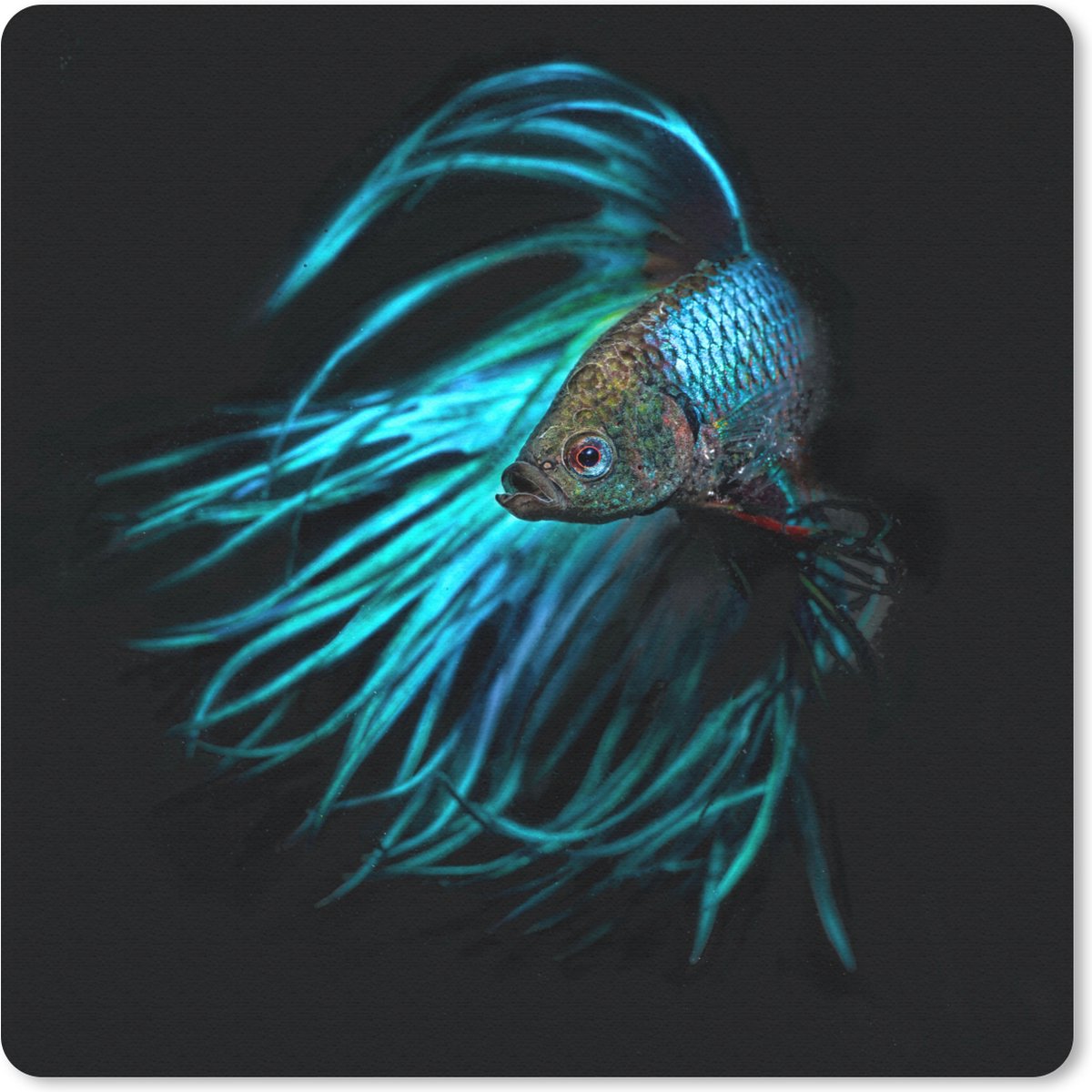 Muismat 20x20 cm - Mousepad Vis - Staart - Zwart - Muismatten