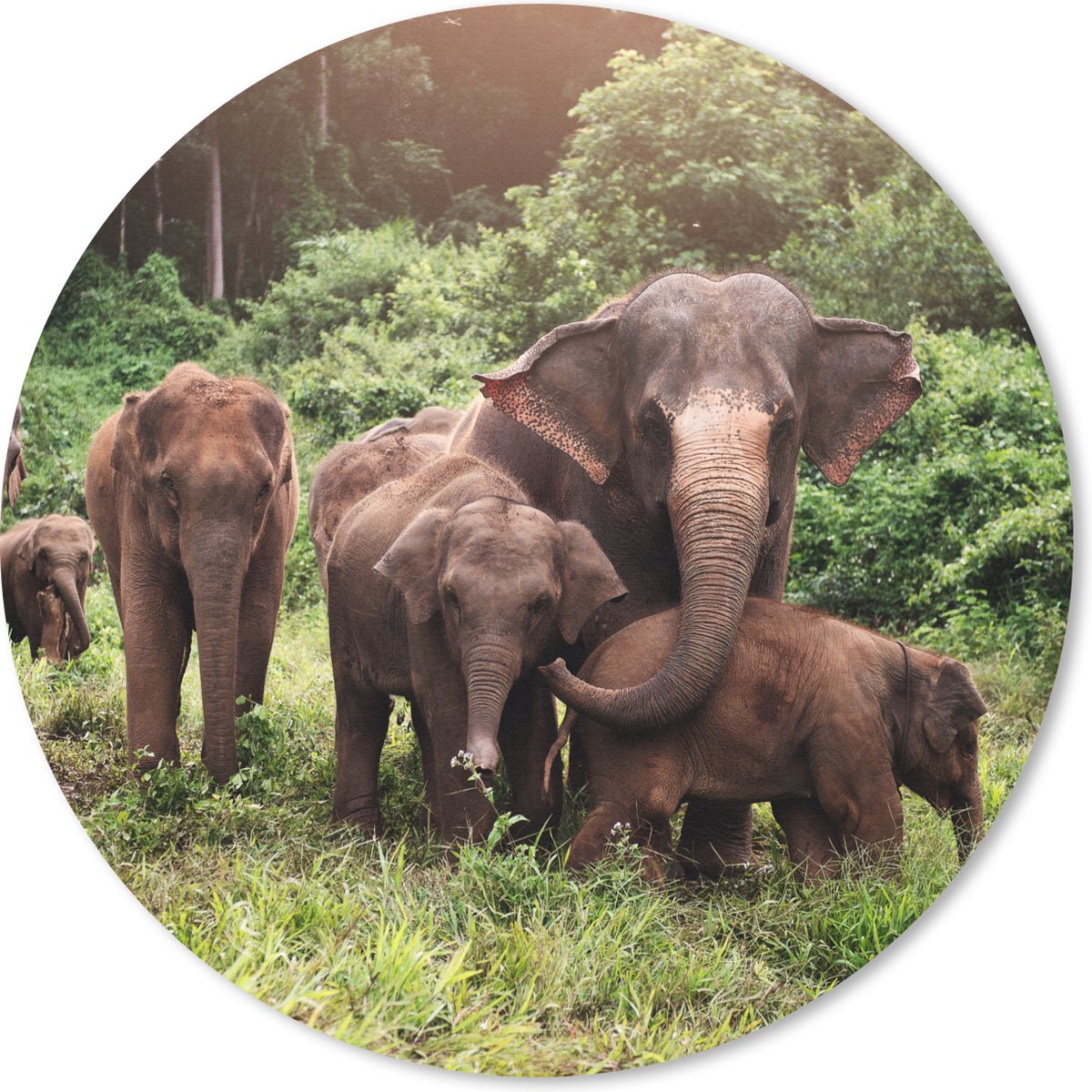 Muismat rond 20x20 cm - Mousepad Olifant - Dieren - Bos - Gras - Groen - Ronde muismatten