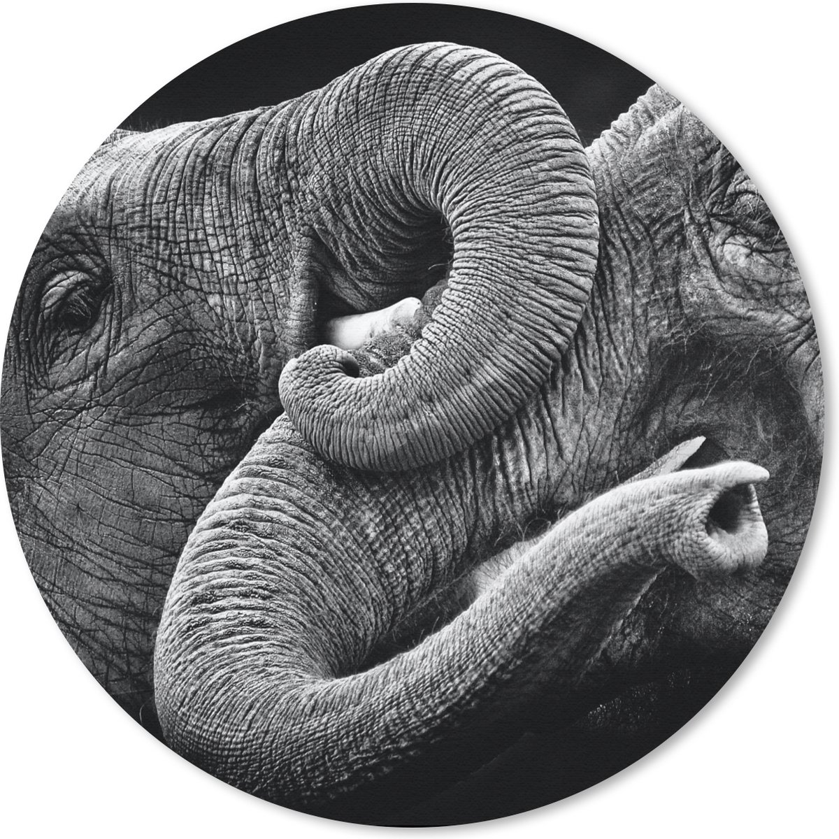 Muismat rond 20x20 cm - Mousepad Olifant - Dier - Slurf - Ronde muismatten