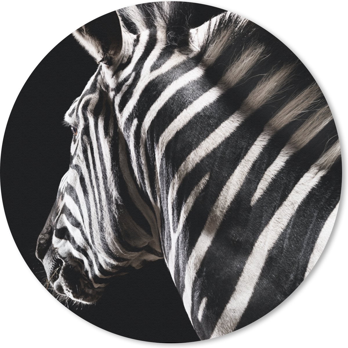 Muismat rond 40x40 cm - Mousepad Zebra - Dier - Zwart - Portret - Ronde muismatten