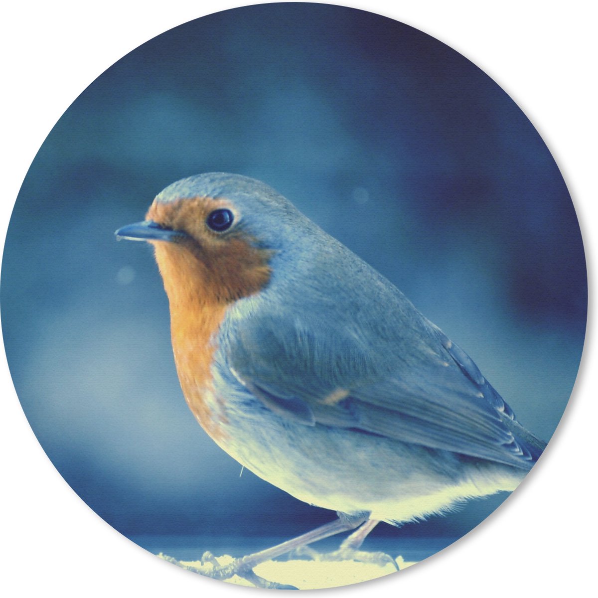 Muismat rond 20x20 cm - Mousepad Roodborstje - Blauw - Sneeuw - Ronde muismatten