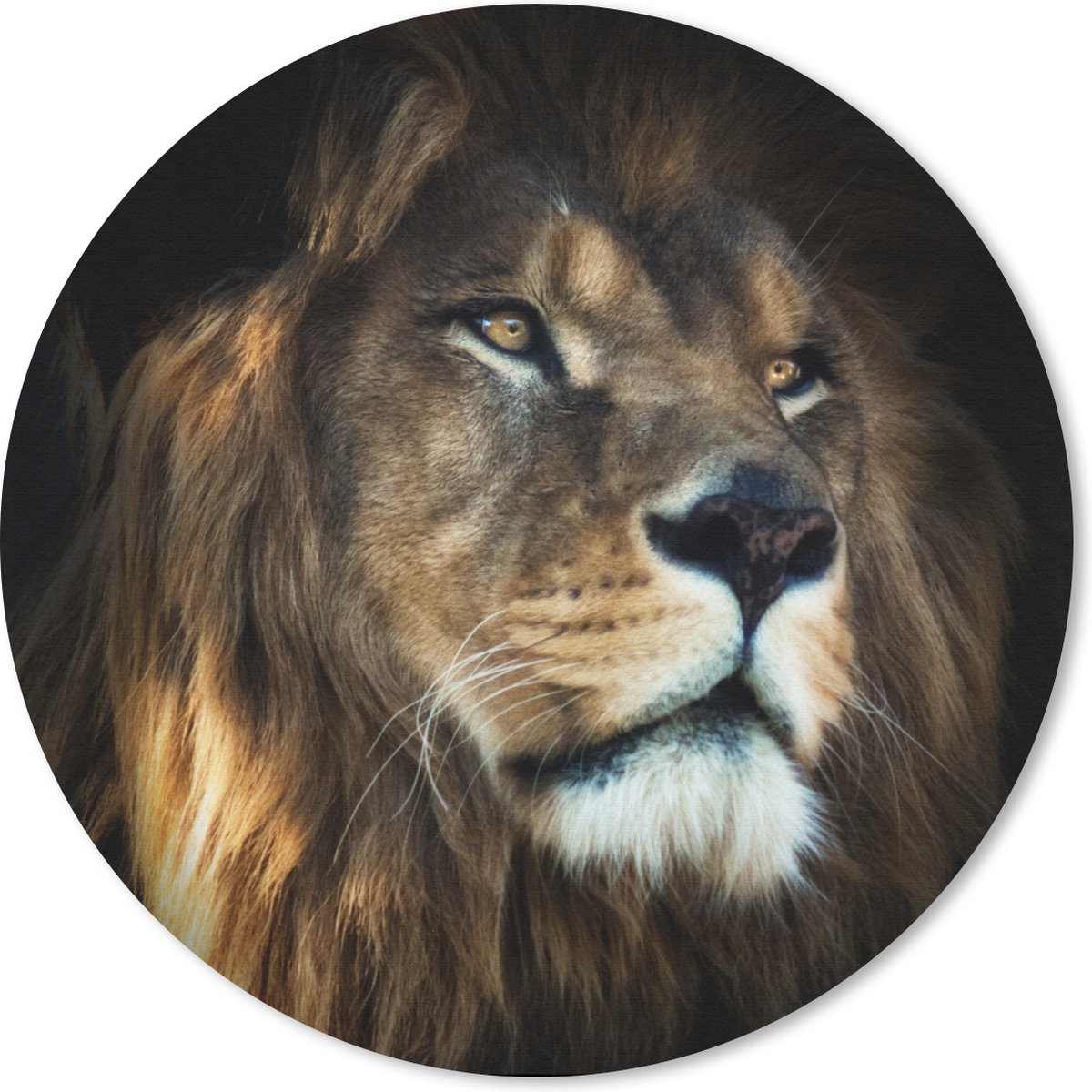 Muismat rond 20x20 cm - Mousepad Leeuw - Vacht - Zwart - Ronde muismatten