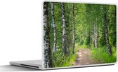 Laptop sticker - 17.3 inch - Bos - Bomen - Berk - 40x30cm - Laptopstickers - Laptop skin - Cover