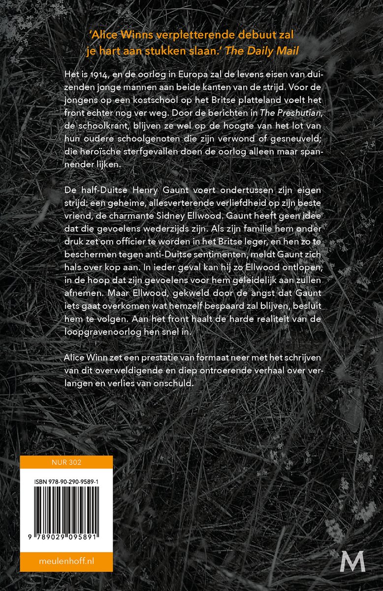 Door het grote vuur - back cover