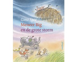 Omslag van Meneer Big en de grote storm