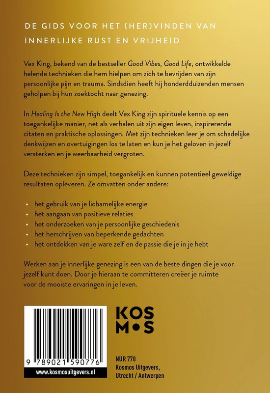 Achterkant van het boek 'Healing Is the New High' met een samenvatting en ISBN-nummer.