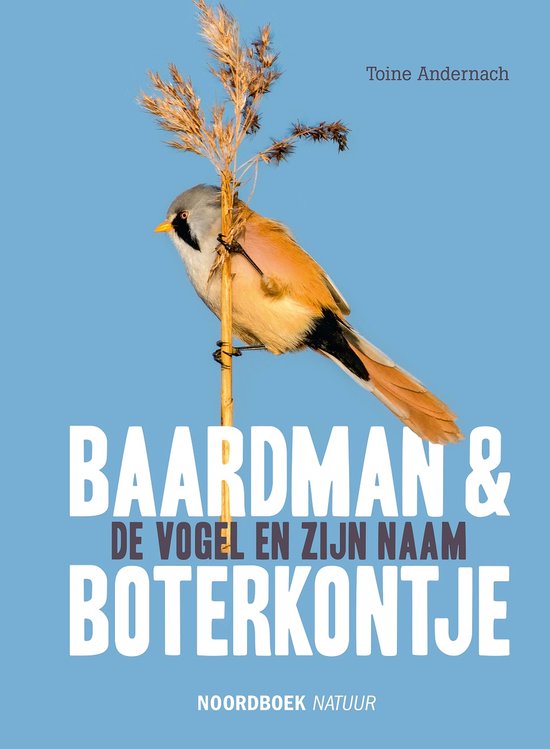 Baardman en boterkontje