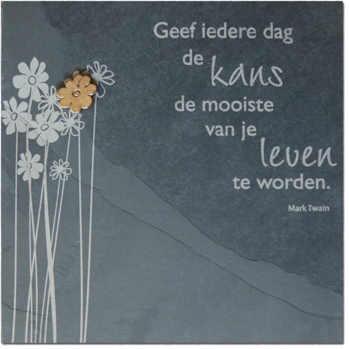 Spreuktegel Leisteen Mark Twain