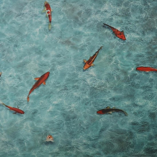 Karat Revêtements de sol - Sols en PVC 3D - Koi - 100 x 400 cm