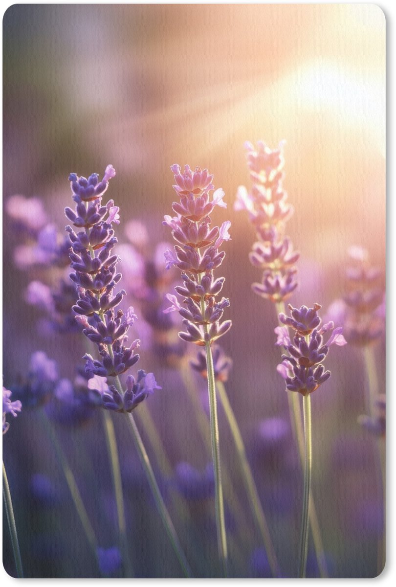 Muismat 18x27 cm - Mousepad Lavendelbloemen - Paars - Zonlicht - Muismatten