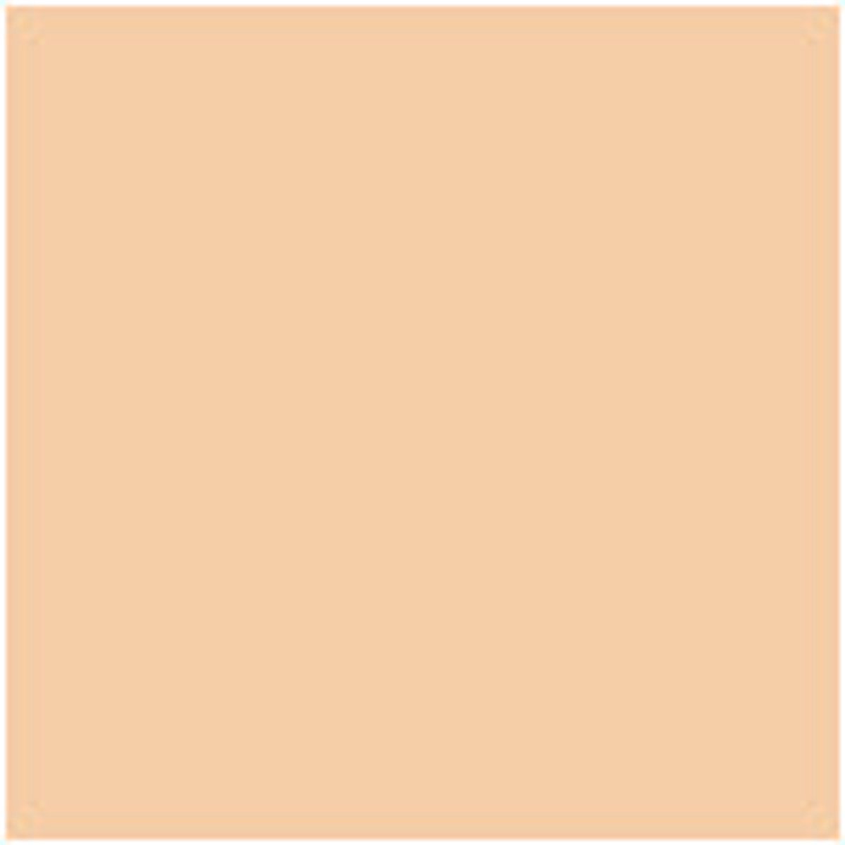 Essence - Skin Tint Foundation - 10