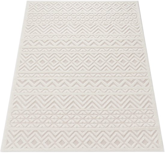 CARPETIA