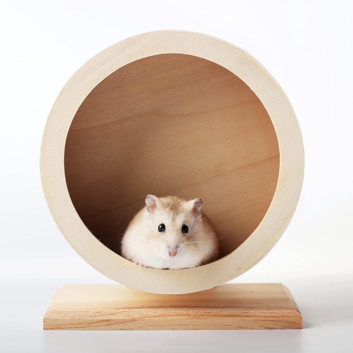 Houten oefenwiel voor kleine huisdieren – dempend draaiwiel voor rust en oefening van Syrische hamsters, gerbils, ratten, muizen en dwerg chinchilla’s (S Φ/15 cm) Houten oefenwiel voor kleine huisdieren – dempend draaiwiel voor rust en oefening van Syrische hamsters, gerbils, ratten, muizen en dwerg chinchilla’s (S Φ/15 cm)