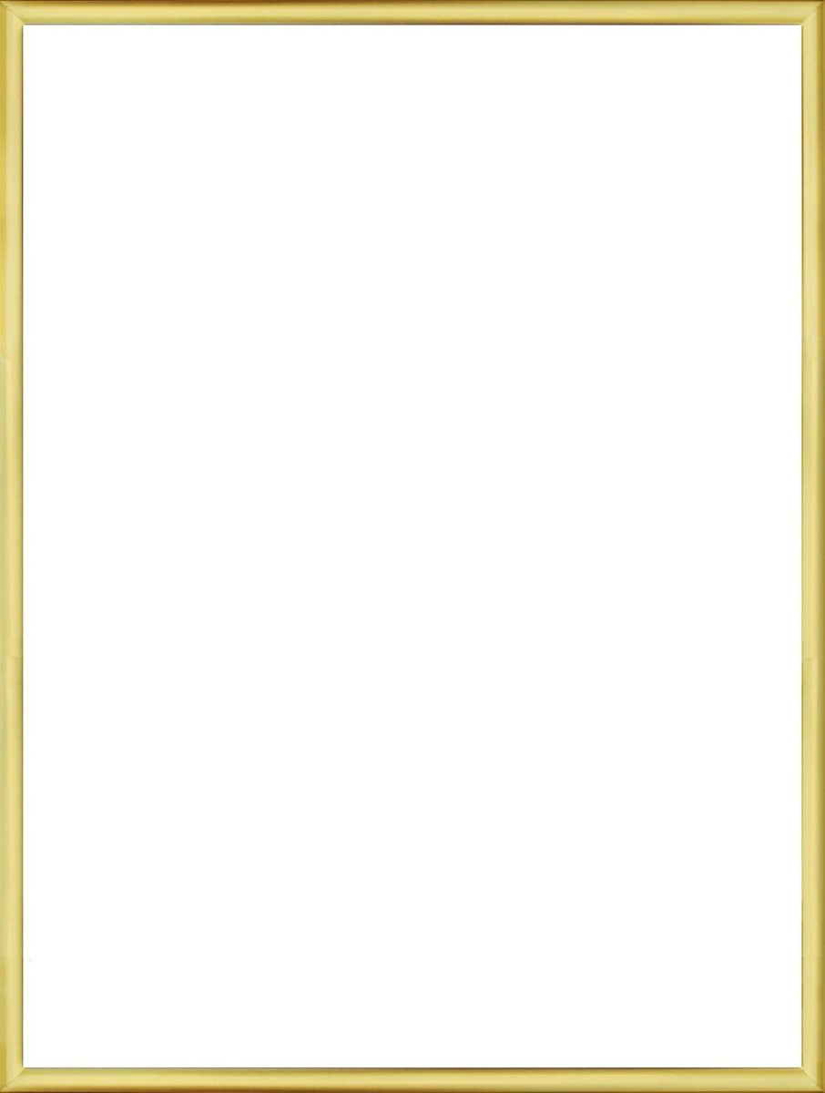 Homedecoration Almelo – Fotolijst – Fotomaat – 46 x 98 cm – Goud Glans