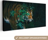 Canvas Schilderij Tijger - Dieren - Jungle - 80x40 cm - Wanddecoratie