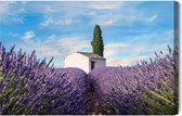 Schilderijkoning - Canvas Schilderij Prachtige Lavendelbloemen - 100 x 70 cm
