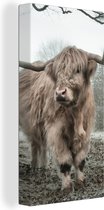 OneMillionCanvasses - Muurdecoratie - Schotse hooglander - Natuur - Herfst - Bos - 40x80 cm - Woonkamer - Slaapkamer - Canvas schilderij koe