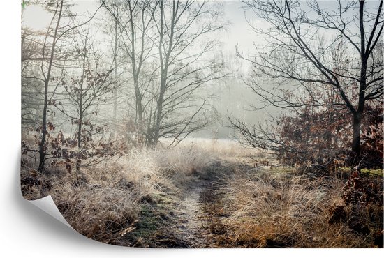 Papier peint photo Forêt dans la brume - Papier peint non tissé - 520 x 318 cm