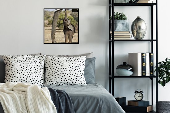 Cadre photo avec affiche - Bébé éléphant communique avec sa mère - 40x40 cm - Cadre pour affiche