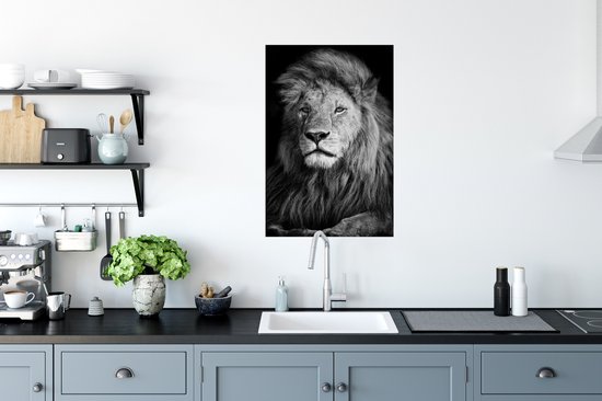 Poster Animaux sauvages - Lion - noir - Wit - 40x60 cm