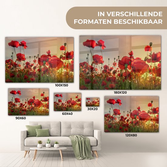 Peinture sur verre Fleurs - Coquelicots - Rouge - Coucher de soleil - Peintures de salon - Photo sur verre - Plaque de verre - Décoration de chambre - 120x80 cm - Décoration murale - Décoration murale - Chambre - Peinture sur verre
