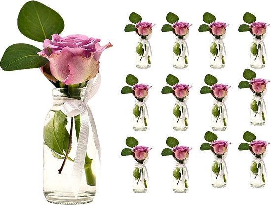 Flessenbauer Glazen Melkflessen 1 Liter - 6 Stuks, Met Twist-Off Deksels, Hittebestendig