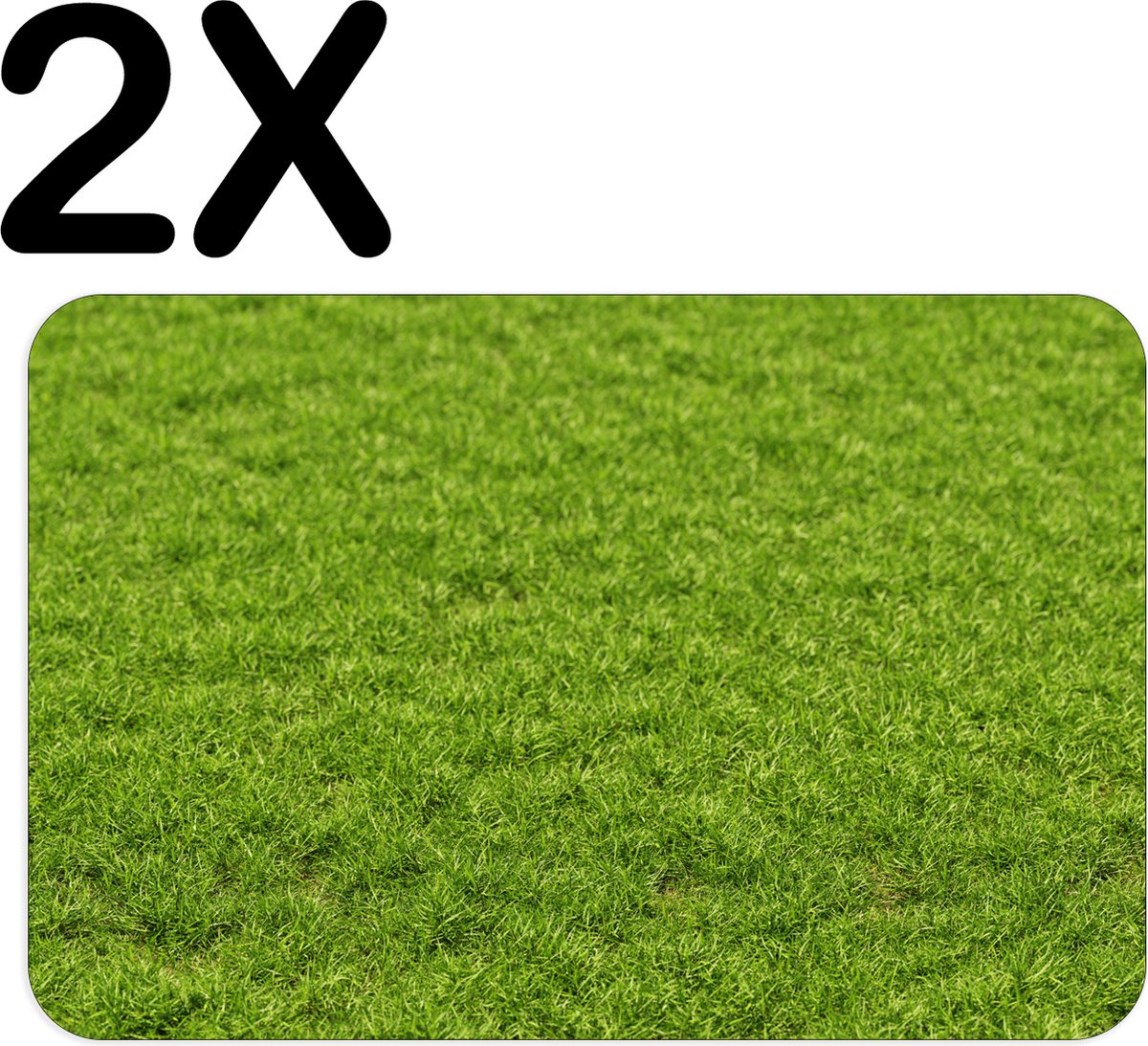 BWK Flexibele Placemat - Groen Gras - Set van 2 Placemats - 45x30 cm - PVC Doek - Afneembaar