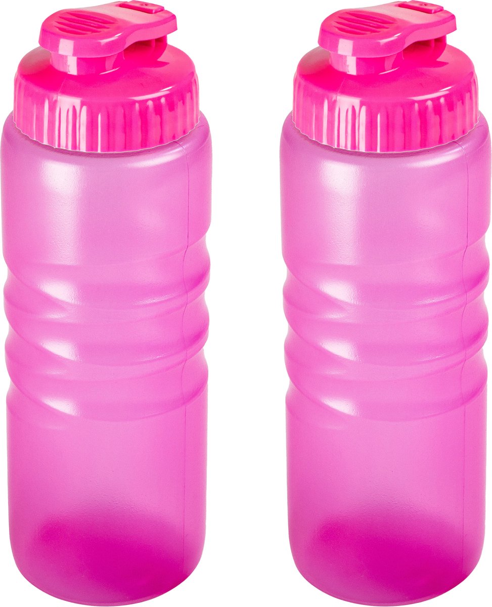 Plasticforte Drinkfles/waterfles/bidon - 2x stuks - 650 ml - transparant/roze - kunststof