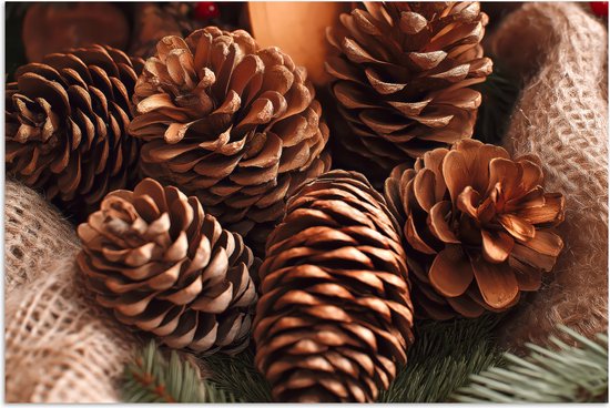 Poster 60x40 cm - Dennenappels - Boom - Winter - Natuur - Bruin - Posters - Kamer decoratie - Wanddecoratie woonkamer - Muurdecoratie slaapkamer