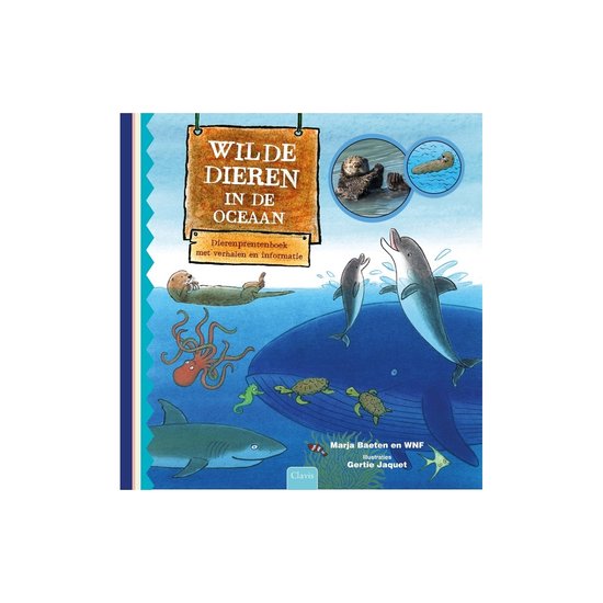 Boekomslag 'Wilde dieren in de oceaan' met illustraties van een walvis, dolfijn, inktvis, schildpadden en een otter.